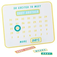 Hallmark Magnetic Baby Countdown Board  1BBY4821