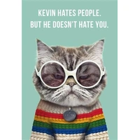 Hallmark Shoebox Greeting Card Kevin The Cat Pack of 6 40050043