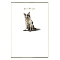 Hallmark Whimsical Whiskers Just For You Greeting Card Border Collie Dog Pack of 6 40052308