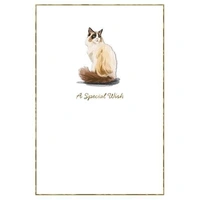 Hallmark Whimsical Whiskers A Special Wish Greeting Card Rag Doll Cat Pack of 6 40052311