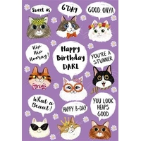 Hallmark Ozzy Oddities Birthday Card Raining Cats Pack of 6 40052314