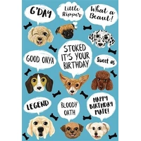 Hallmark Ozzy Oddities Birthday Card Raining Dogs Pack of 6 40052315