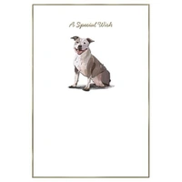 Hallmark Whimsical Whiskers A Special Wish Greeting Card Staffy Dog Pack of 6 40052320