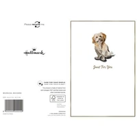 Hallmark Whimsical Whiskers Just For You Greeting Card Cavoodle Dog Pack of 6 40052323