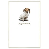 Hallmark Whimsical Whiskers A Special Wish Greeting Card Daschund Dog Pack of 6 40052325