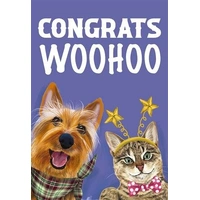 Hallmark Ozzy Oddities Congratulations Card Cat & Dog Pack of 6 40052328