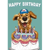 Hallmark Ozzy Oddities Birthday Card Birthday Cake Dog Pack of 6 40052329