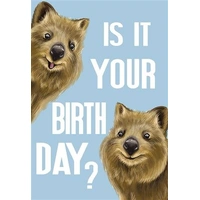 Hallmark Ozzy Oddities Birthday Card Quokka Celebrations Pack of 6 40052331