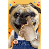 Hallmark Interactive Sound Card Pickin' Dog Pack of 3 40052363