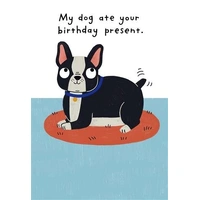 Hallmark Shoebox Birthday Card Dog Ate Your Present Pack of 6 40052388