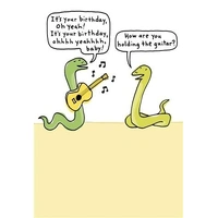 Hallmark Shoebox Birthday Card Snakes & Guitar Pack of 6 40052407