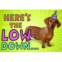 Hallmark Interactive Greeting Card Pack of 3 40052897