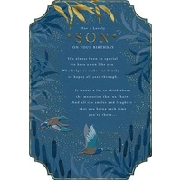 Hallmark Son Birthday Card For a Lovely Son Pack of 3 40054303