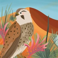 Hallmark x Christie Williams Gallery Blank Greeting Card Desert Pack of 6 40055791