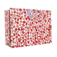 Hallmark x Love, Meredith Medium Gift Bag Hearts & Flowers Pack of 6 40056493