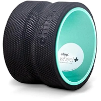 Chirp Wheel Plus 6-inch Deep Tissue 6-PW-PLUS-RTL