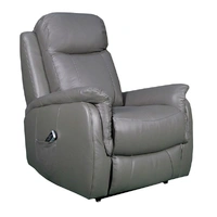 Ascot Dual Motor Lift Chair - Grey leather ASCODUALDGR