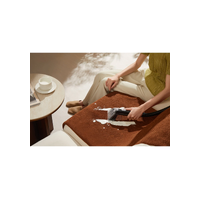Dreame N20 Steam Portable Carpet Spot Cleaner DRE-N20