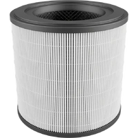 Electrolux Replacement HEPA13 Clean Filter for Ultimate Home 300 Air Purifier EFFCLN2