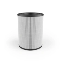 Electrolux HEPA13 Clean Filter for Ultimate Home 500 Air Purifier EFFCLN4