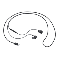 Samsung IN-EAR Wired Headphones Type-C EO-IC100BBEGWW