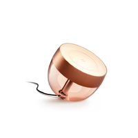 Philips Hue Iris SE Copper HUEIRISCOP