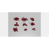 Kyosho Color Screw Set(Red/Mini Inferno)
