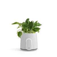 Vitesy Natede Smart Plant Pot Purifier White/Grey Base NT01AA02_B