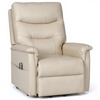 Piccolo Dual Motor Lift Chair - Leather - Taupe PICODUALTPE