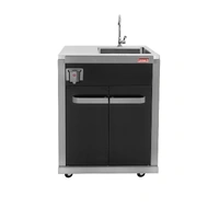 Coleman Revolution Sink With Tap Unit Black Gloss REVSIGLP