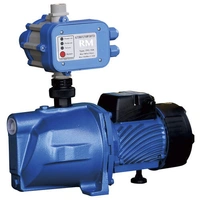 Rural Max Garden Pressure Pump with Automatic Pressure Control RMJP100E