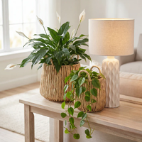 Urban Style Woven Baskets Peony Set of 2 Natural 400x400x330mm US100017