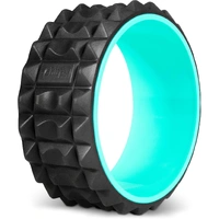 Chirp Wheel XR 10-inch Accupressure W-XR-10-MNT-R
