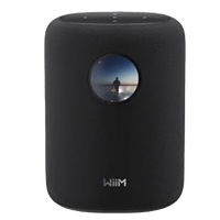 WiiM Sound Smart Speaker  - Black WIIM-SOUND-BK